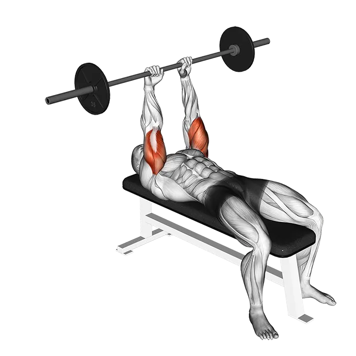 Barbell Lying Triceps Extension exercise animation (Male)