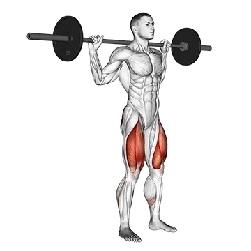 Barbell Narrow Stance Squat