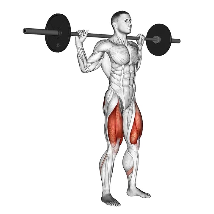Barbell Narrow Stance Squat exercise animation (Male)
