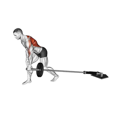 Barbell One Arm Bent over Row