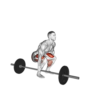Barbell One Arm Side Deadlift