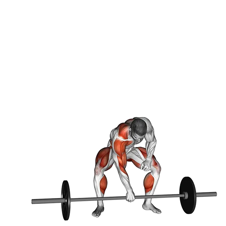 Barbell One Arm Snatch exercise animation (Male)
