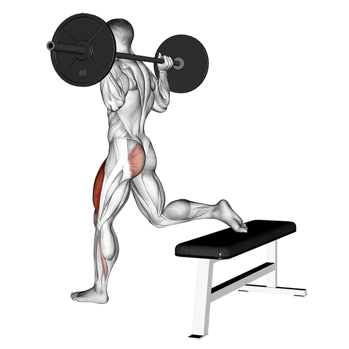 Barbell One Leg Squat exercise animation (Male)