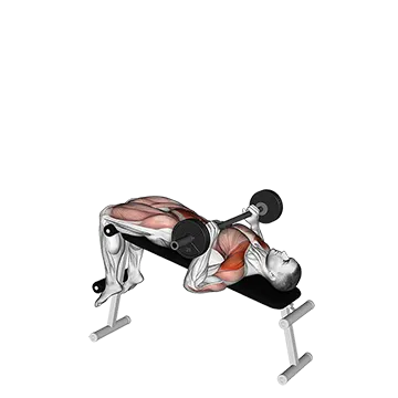 Barbell Press Sit-Up