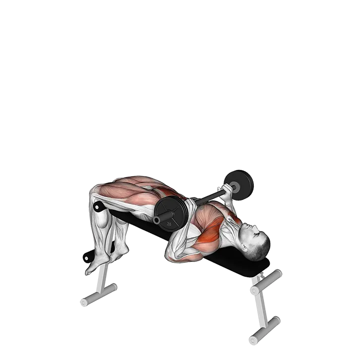 Barbell Press Sit-Up exercise animation (Male)