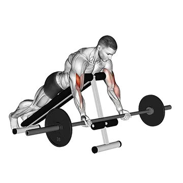 Barbell Prone Incline Curl