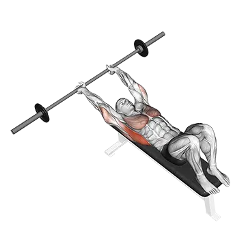 Barbell Pullover