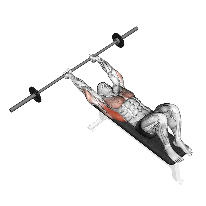 Barbell Pullover exercise animation (Male)