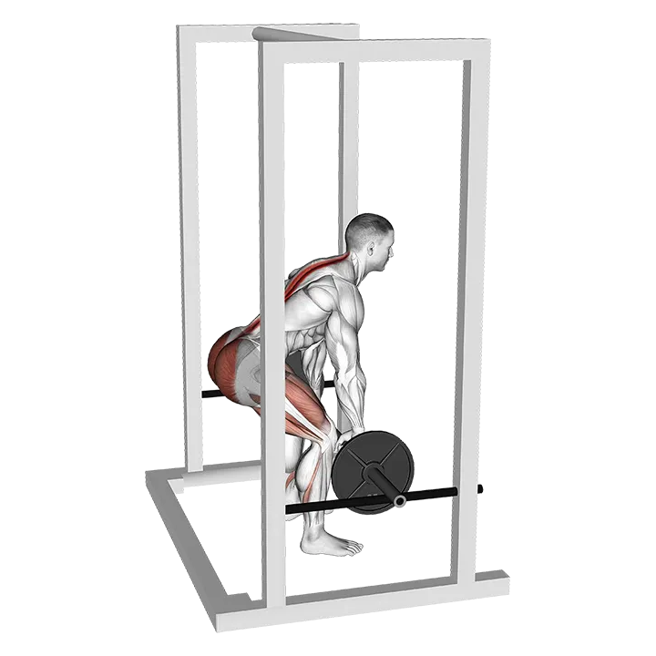Barbell Rack Pull exercise animation (Male)