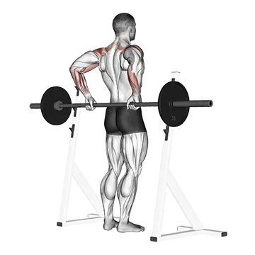 Barbell Rear Delt Raise