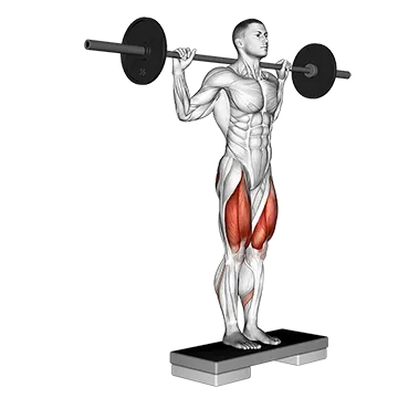 Barbell Rear Lunge (version 2)