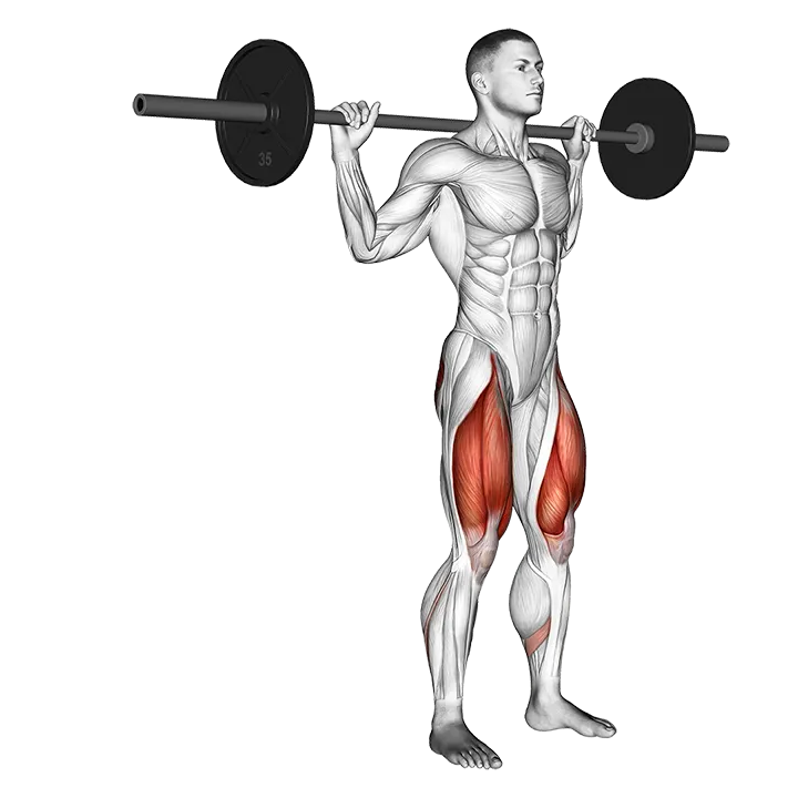 Barbell Rear Lunge exercise animation (Male)