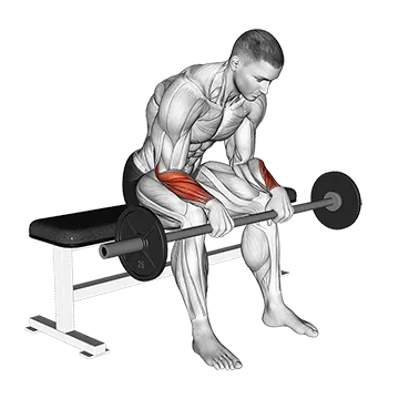 Barbell Revers Wrist Curl (version 2)