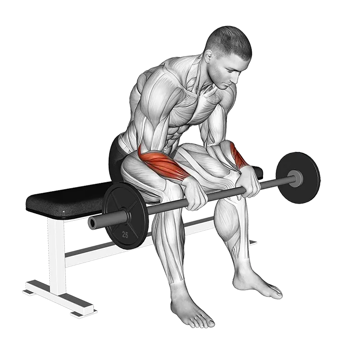 Barbell Revers Wrist Curl (version 2) exercise animation (Male)