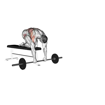 Barbell Rollout from Bench