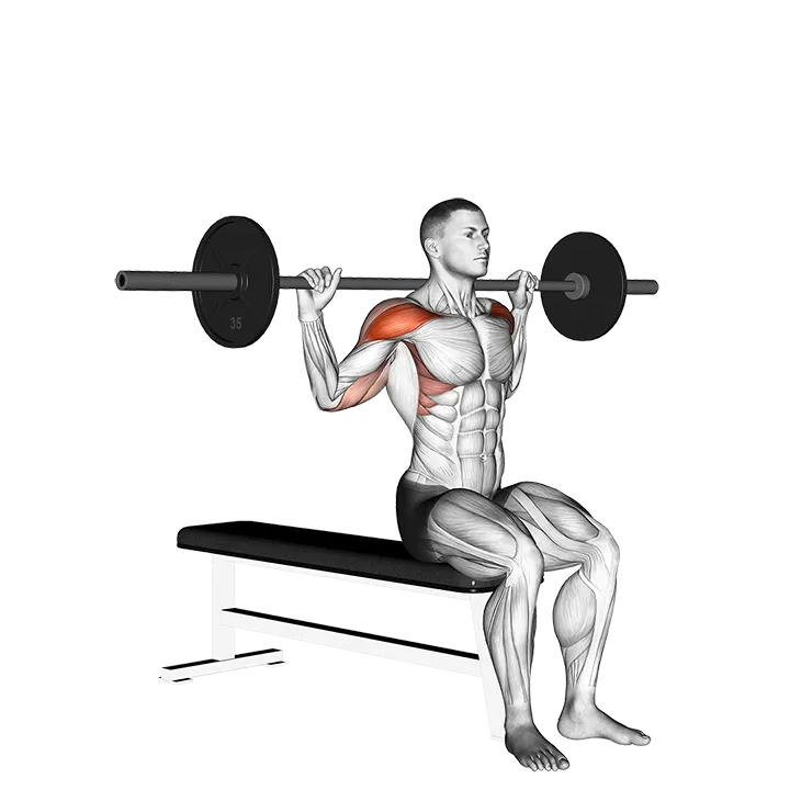 Barbell Seated Behind Head Military Press exercise animation (Male)