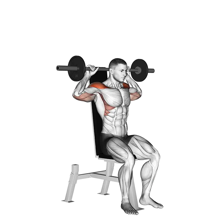 Barbell Seated Bradford Rocky Press exercise animation (Male)