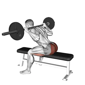 Barbell Seated Good morning