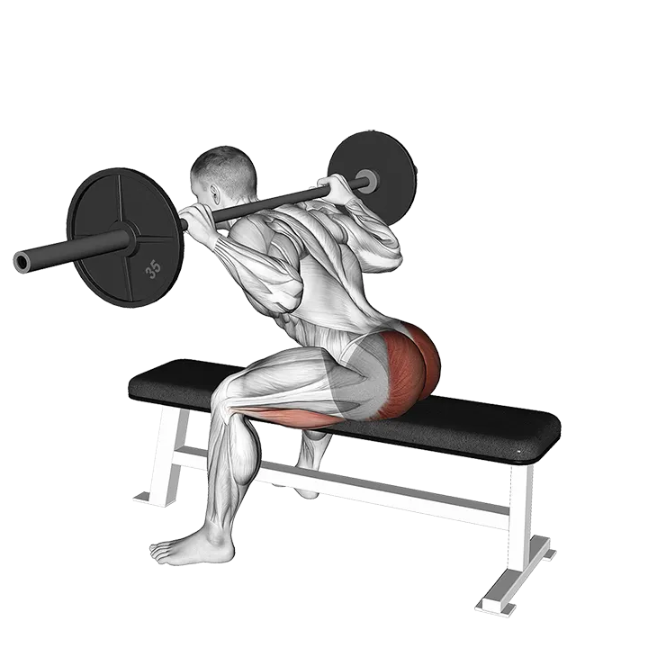 Barbell Seated Good morning exercise animation (Male)