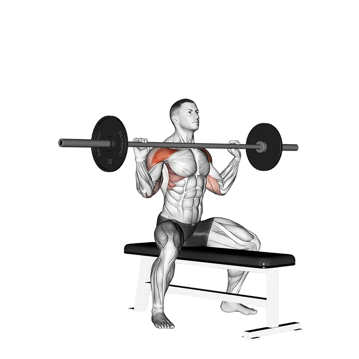 Barbell Seated Overhead Press exercise animation (Male)