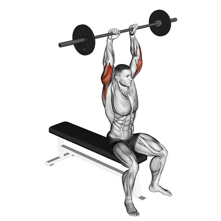 Barbell Seated Overhead Triceps Extension exercise animation (Male)