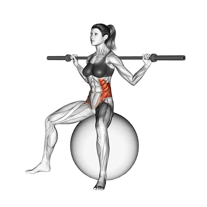 Barbell Seated Twist (on stability ball) exercise animation (Female)