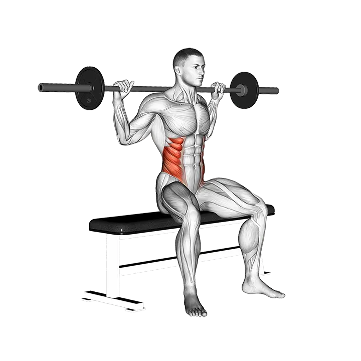 Barbell Seated Twist exercise animation (Male)