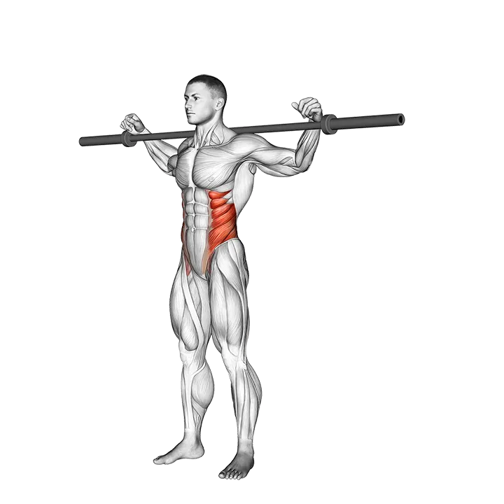 Barbell Side Bent (version 2) exercise animation (Male)