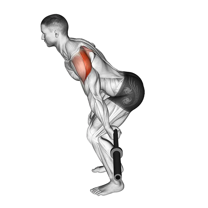Barbell Skier exercise animation (Male)