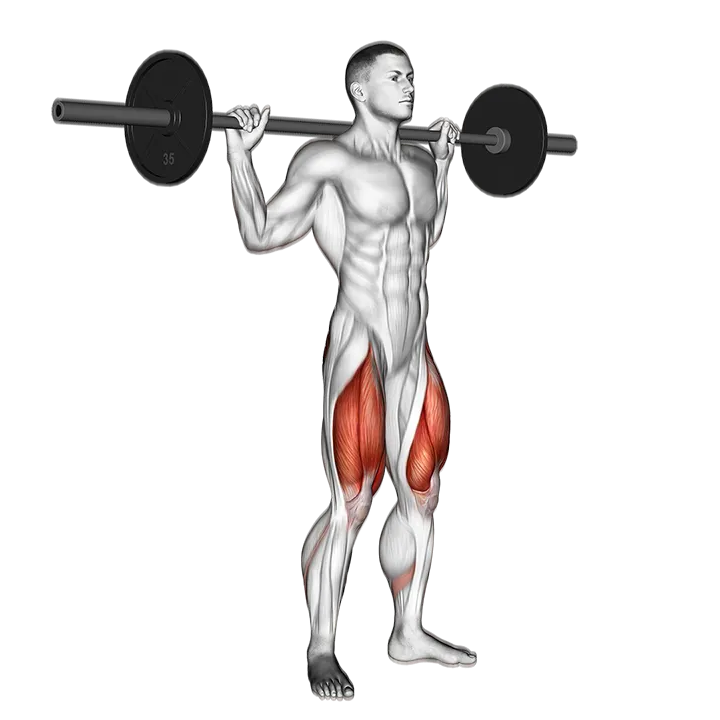 Barbell Speed Squat exercise animation (Male)