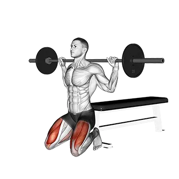 Barbell Squat (on knees)