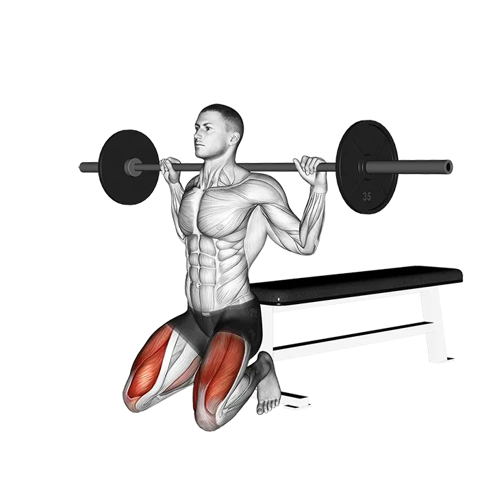 Barbell Squat (on knees) exercise animation (Male)