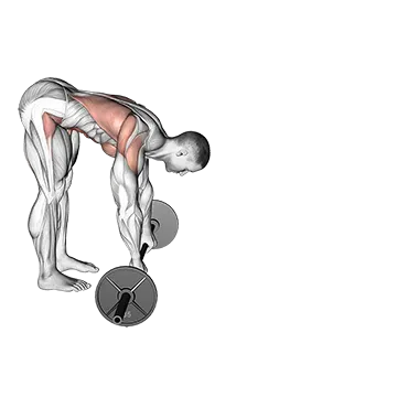 Barbell Standing AB rollout