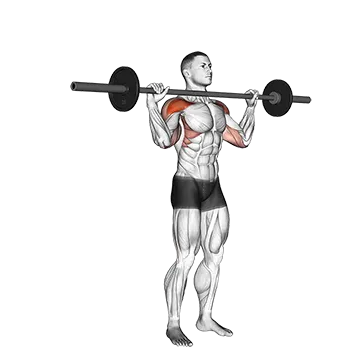 Barbell Standing Bradford Press