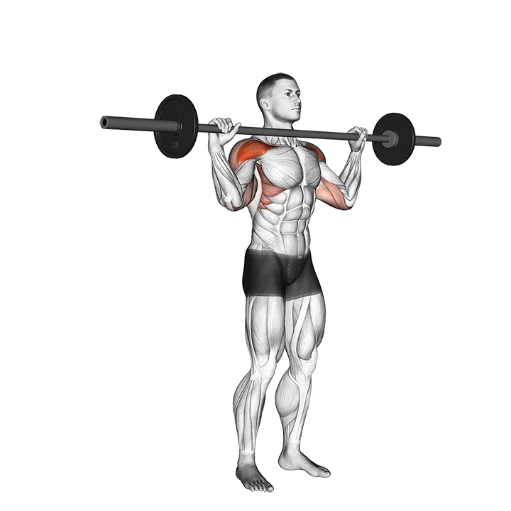 Barbell Standing Bradford Press exercise animation (Male)