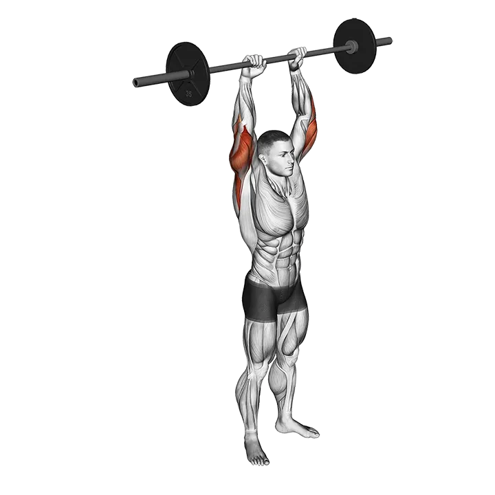 Barbell Standing Overhead Triceps Extension exercise animation (Male)