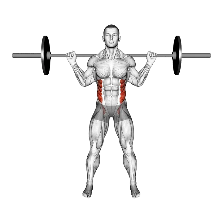 Barbell Standing Twist exercise animation (Male)