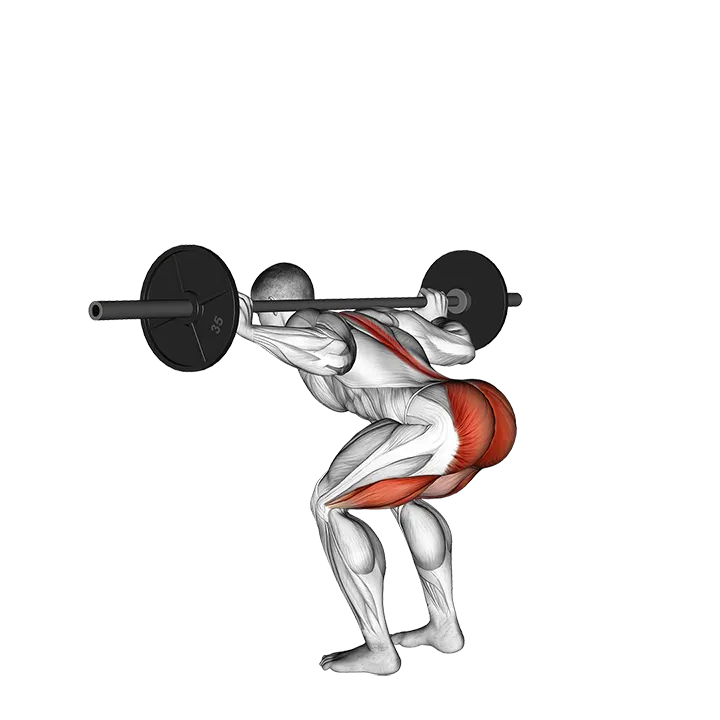 Barbell Stiff Leg Good Morning exercise animation (Male)