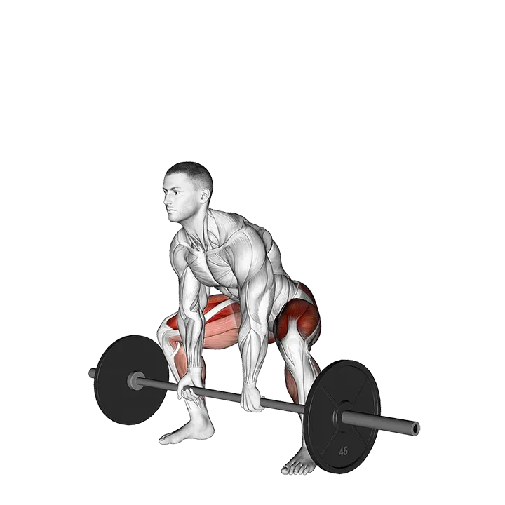 Barbell Sumo Deadlift exercise animation (Male)
