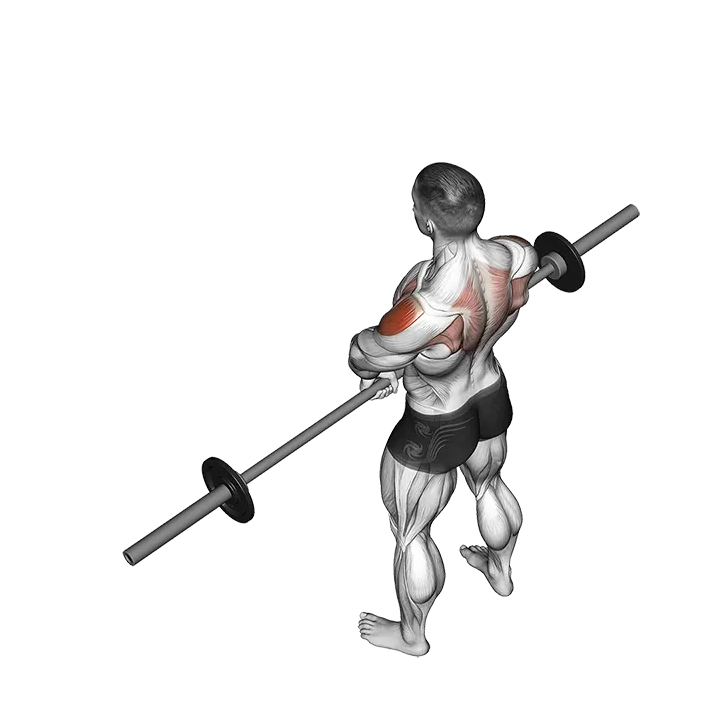 Barbell Upright Row (version 2) exercise animation (Männlich)