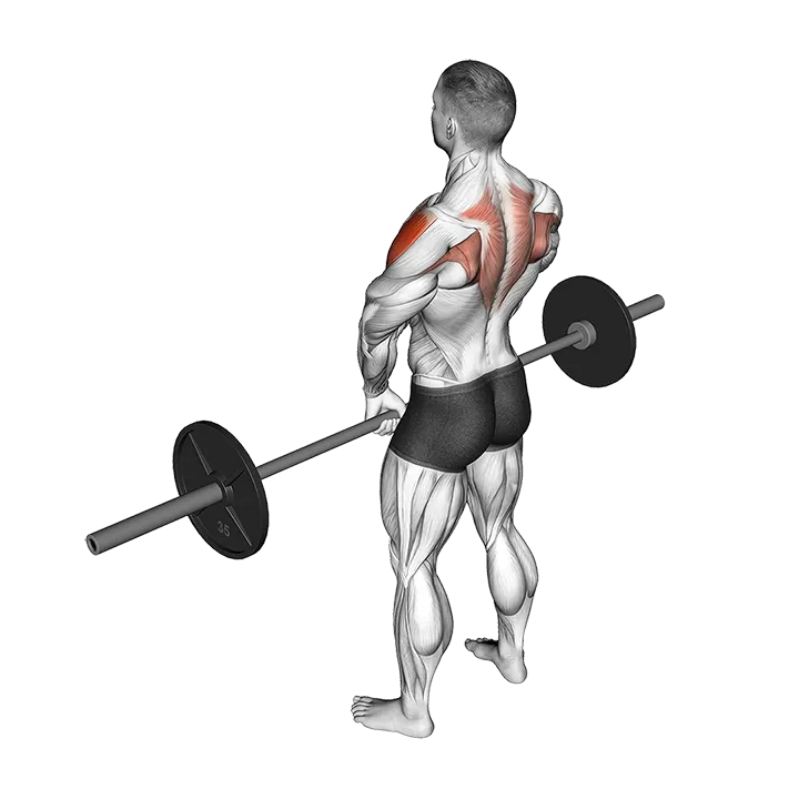 Barbell Upright Row (version 3) exercise animation (Male)