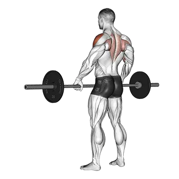 Barbell Wide-grip Upright Row