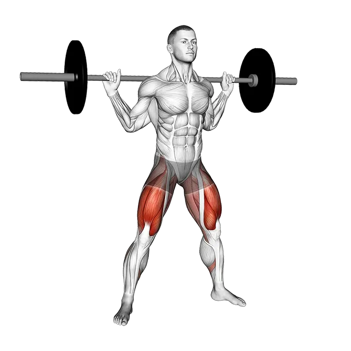 Barbell Wide Squat exercise animation (Male)
