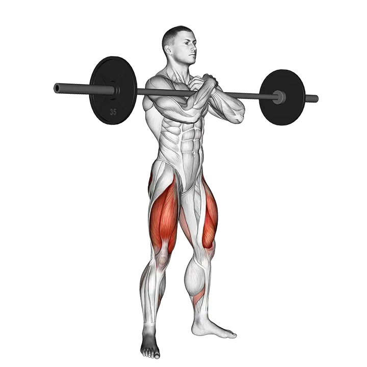 Barbell Zercher Squat exercise animation (Male)