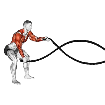 Battling Ropes