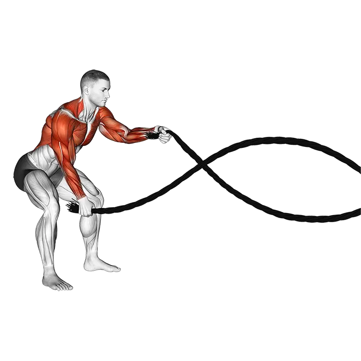 Battling Ropes exercise animation (Male)