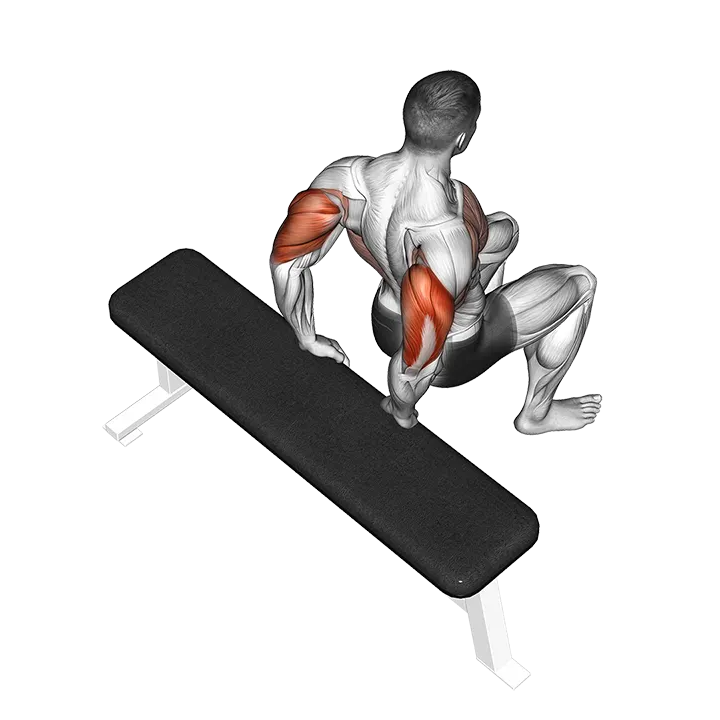 Bench Dip (knees bent) exercise animation (Male)