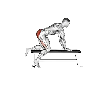 Bench Hip Extension