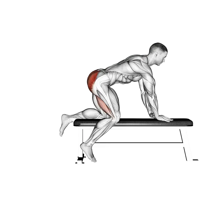 Bench Hip Extension exercise animation (Male)