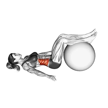 Bent-knee Lying Twist (On Stability Ball)
